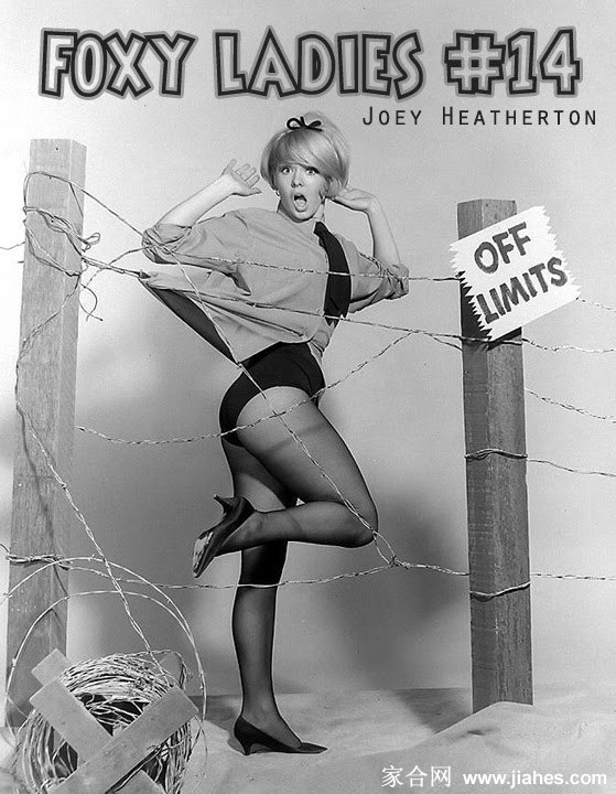 [CELEBRITY NYLON]Joey Heatherton in nylon stockings,pantyhose,tights 2[5]