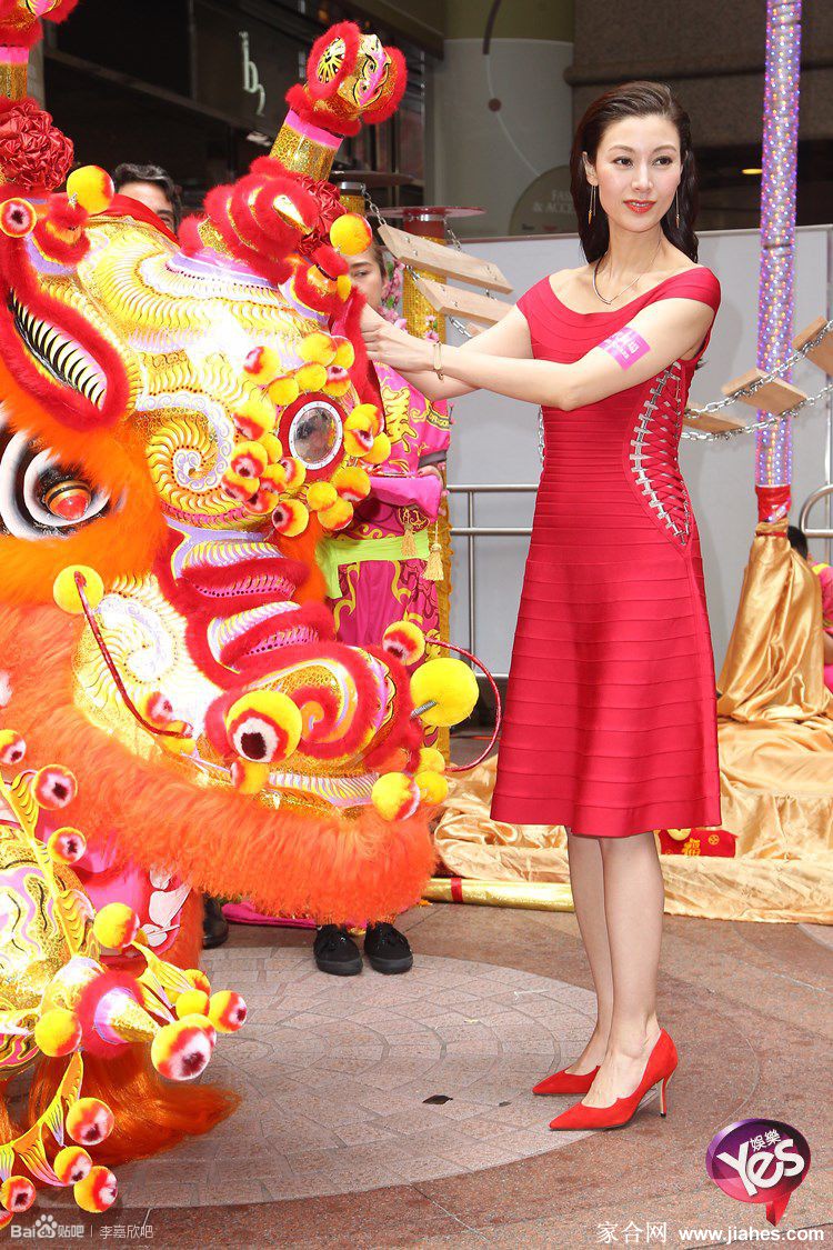 李嘉欣丝袜高跟长腿生活照,黑丝袜性感照性感短裙[5]