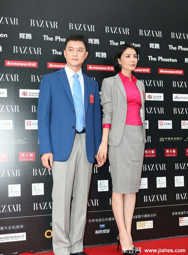 王菲粉色丝袜美腿演唱会现场照[3]