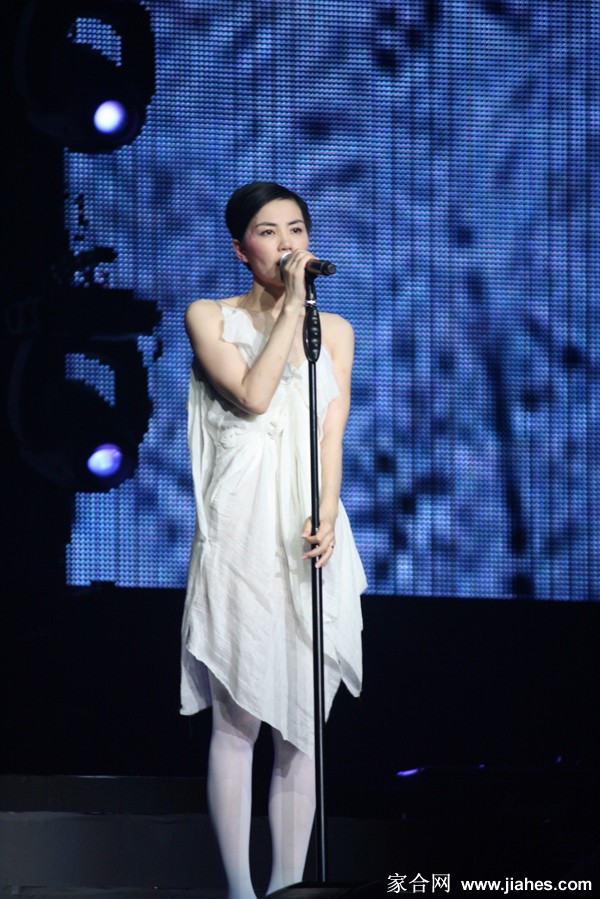 王菲粉色丝袜美腿演唱会现场照[5]
