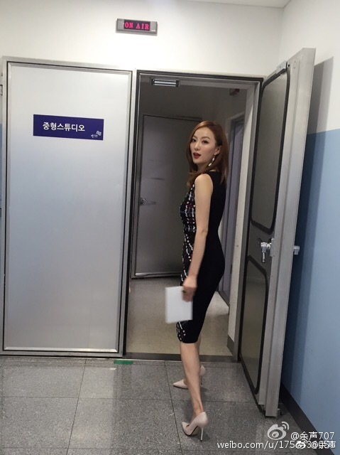 主持人余声蕾丝短裙丝袜美腿高跟现场照[5]