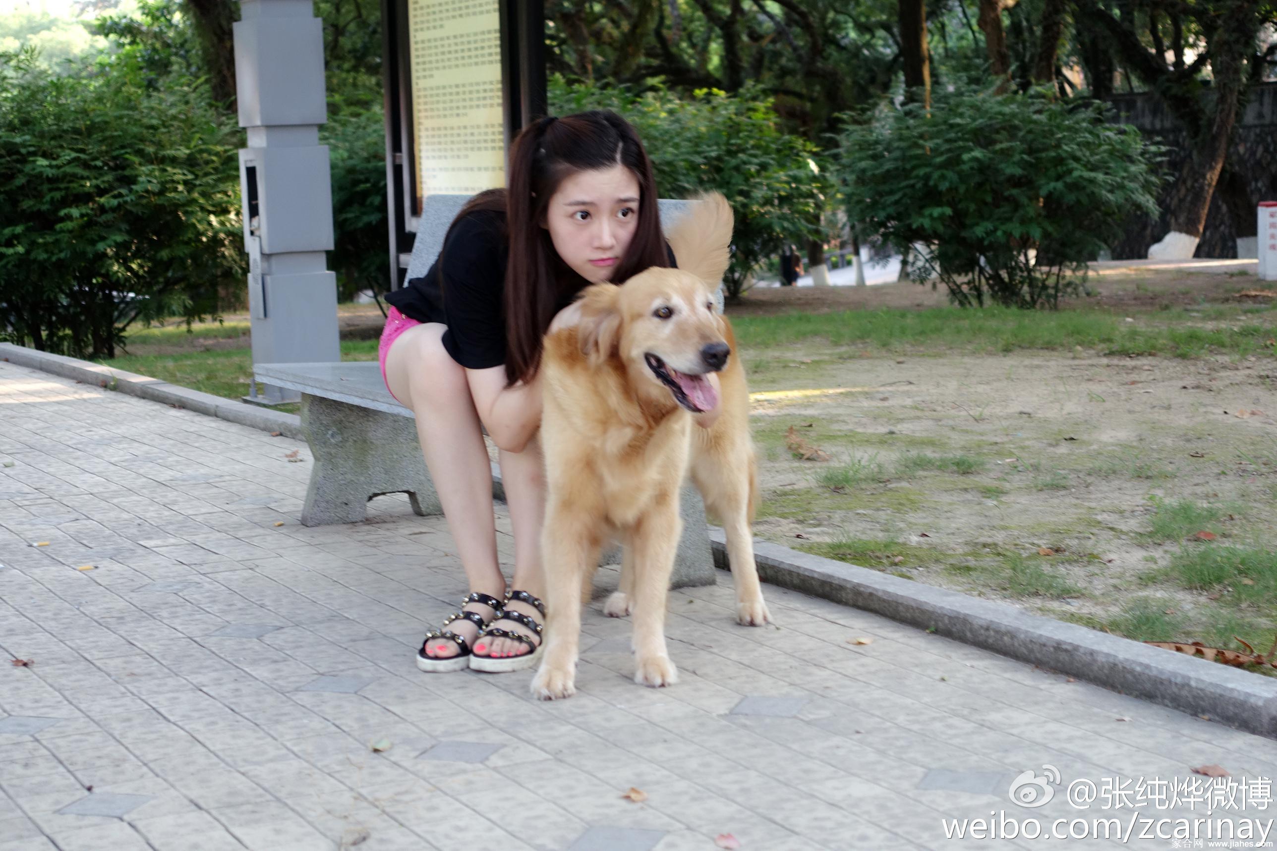 江苏卫视女主持人张纯烨粉色短裤白嫩大长腿户外遛狗写真[4]