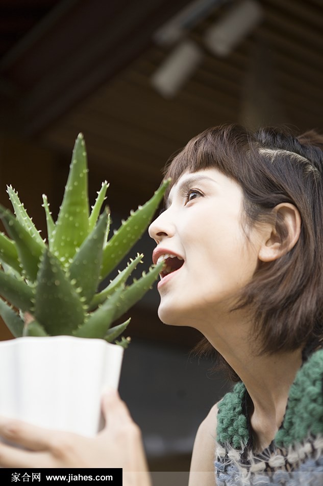 肖茵森女系穿搭苹果头发型俏皮灵动夏日写真图片[3]